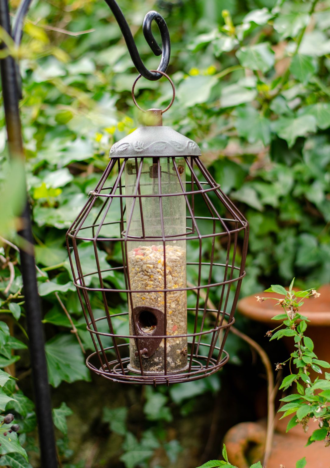 Bird Care – Country Lanes Garden Centre